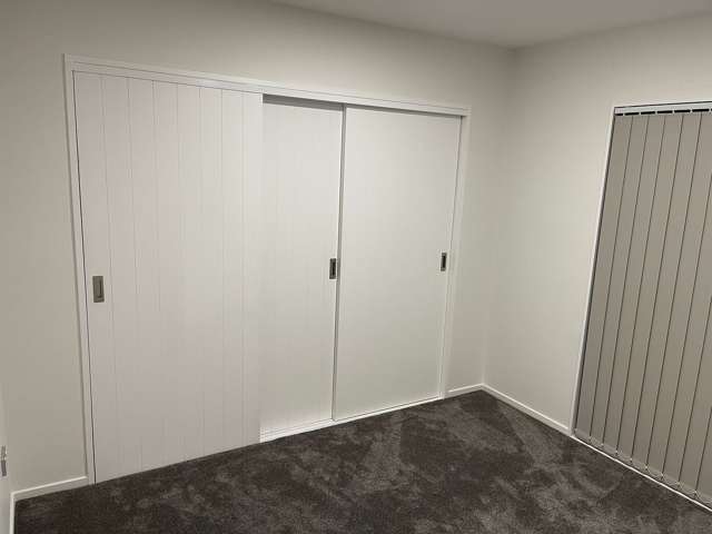 295C Porchester Road Takanini_4