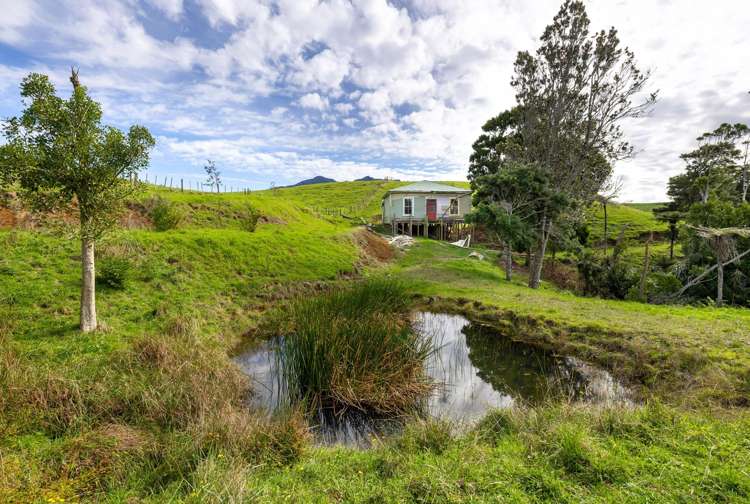 62 Cornes Road Raglan_16