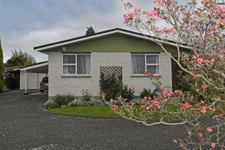 22 Jellicoe Street Greytown_16