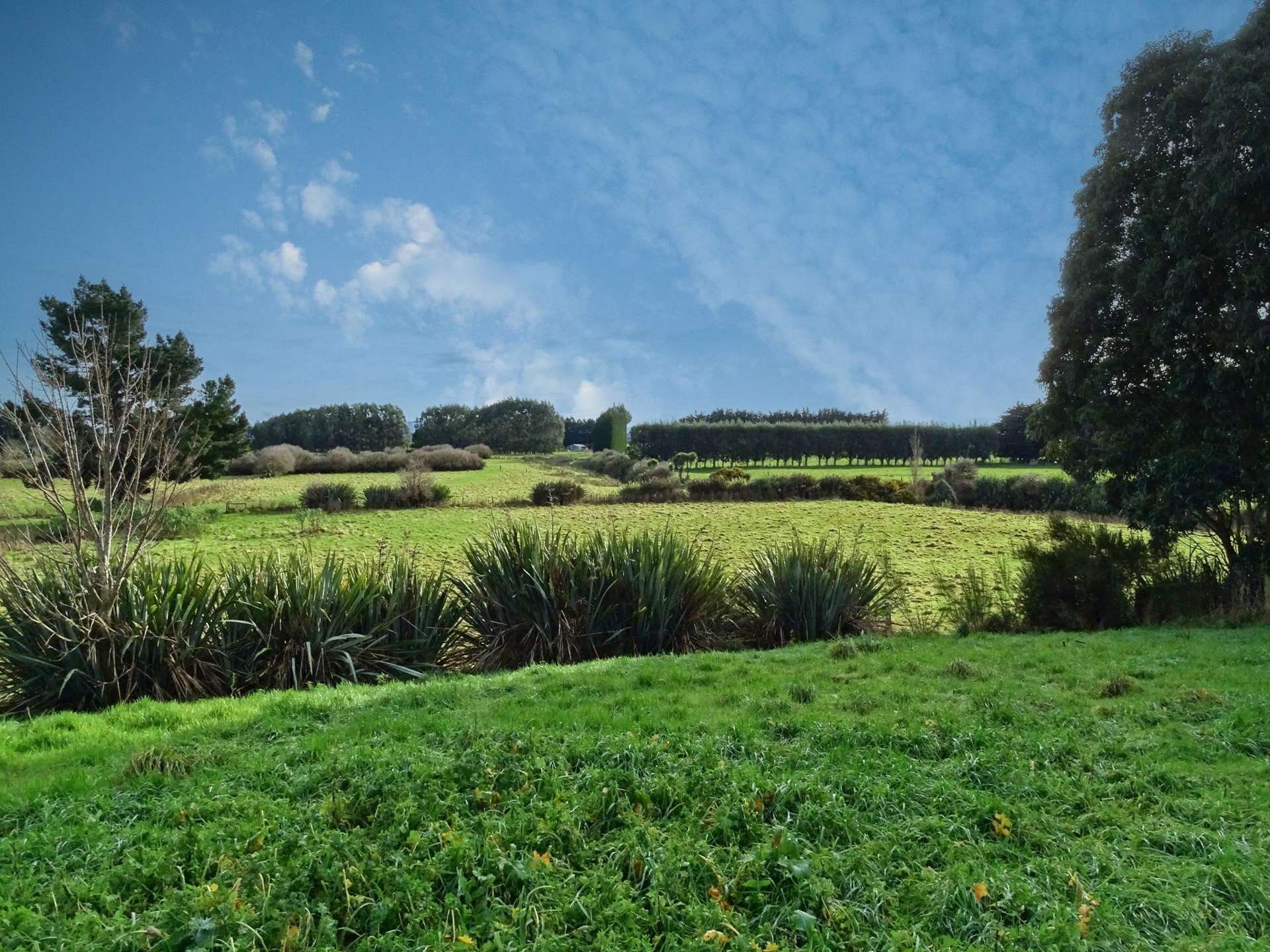 26 Cumnock Street Wallacetown_0