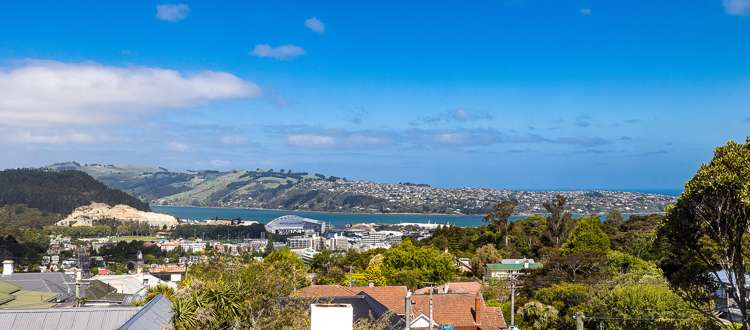 19 Lothian Street Maori Hill_23