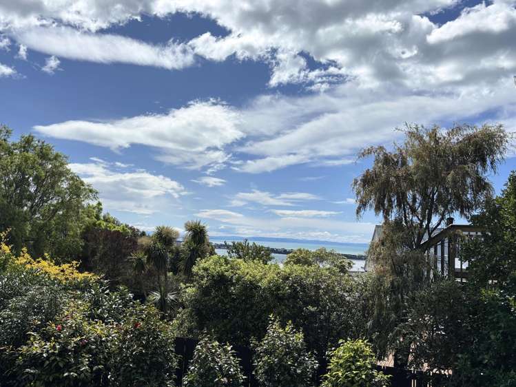 7 Santa Maria Avenue Mount Pleasant_24