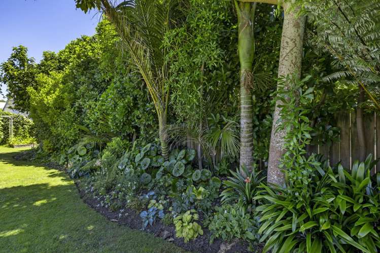 64 Wallis Street Raglan_21