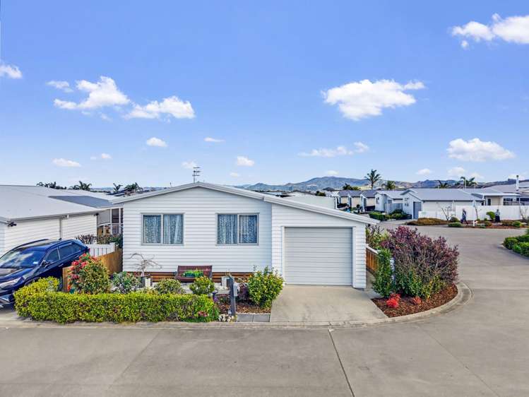 302/11 Kamahi Crescent Papamoa Beach_5