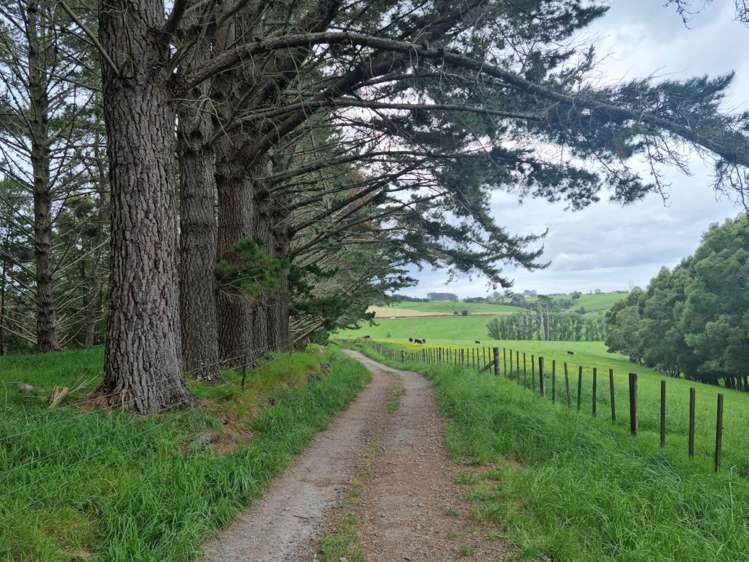 280 Old Bay Road Pakaraka_25