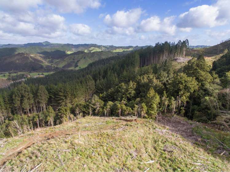 15 State Highway 49 Ohakune_18