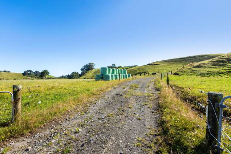 860 Egmont Road Hillsborough_7