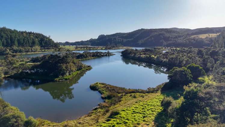 455 Hikuai Settlement Road_5