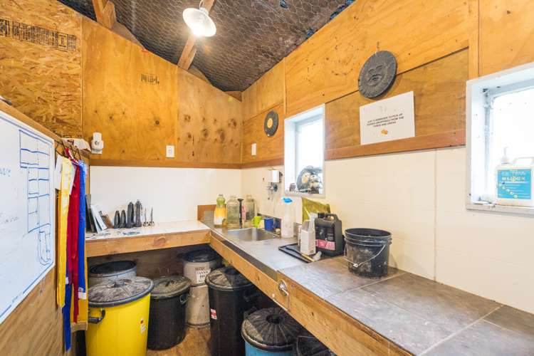 106b Pohangina Road Ashhurst_20