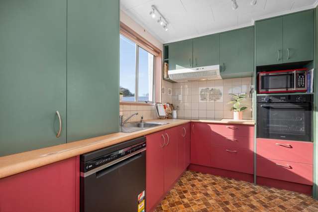 27 Clyde Street Renwick_4