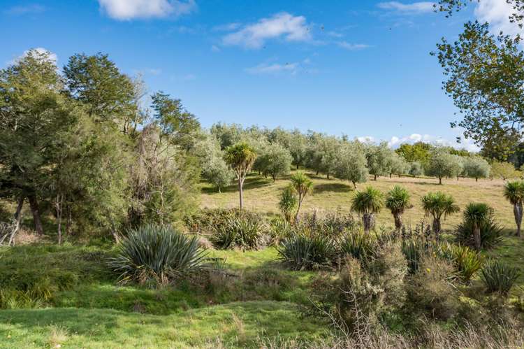 71 Cozens Road Dovedale_25