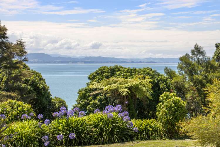 88 Hamurana Road Omokoroa_18