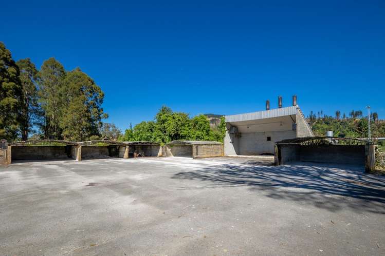 160 Tadmor Valley Road Tapawera_34