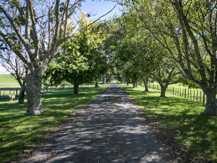 95 Webster Road Tirau_5