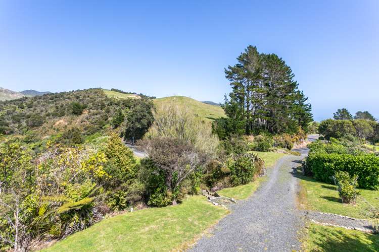 1753 Colville Road Coromandel_12