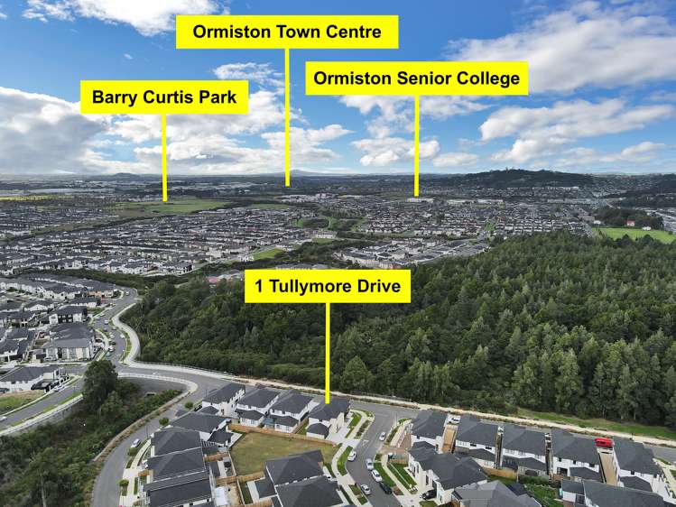 1 Tullymore Drive Flat Bush_22