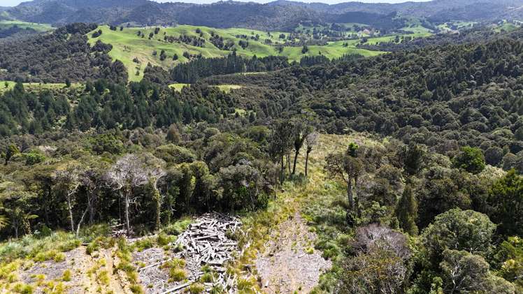 Otangaroa Side Road Kaeo_3