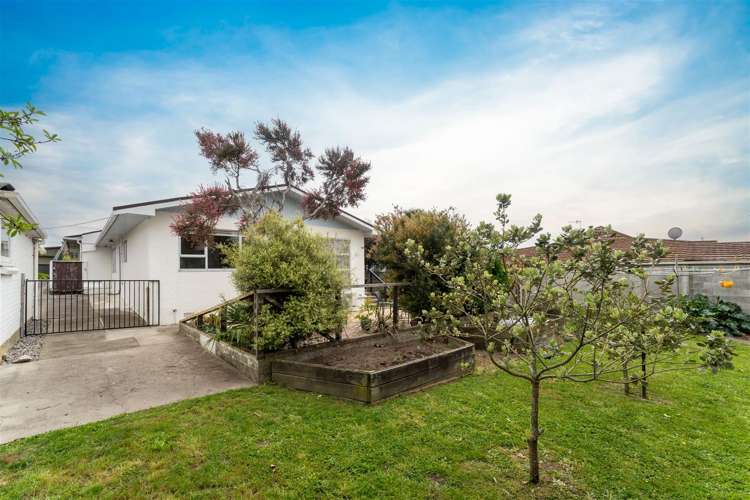 17B Bledisloe Avenue Stoke_14