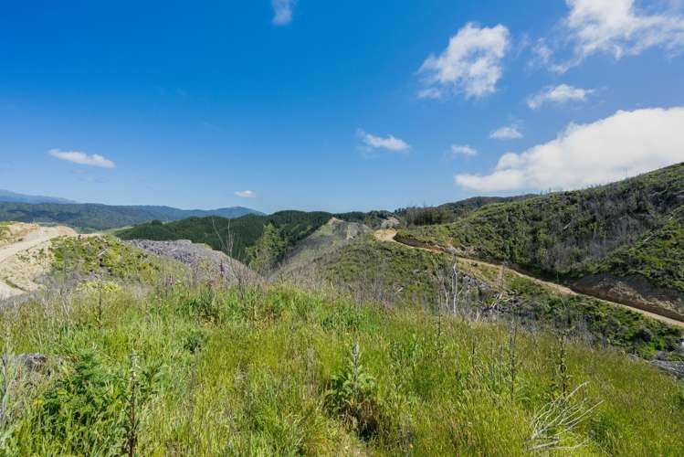 170 Mangaone North Road Te Horo_13