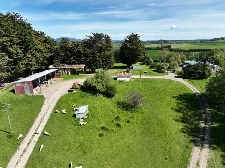 199 Moa Hill Road Clinton and Surrounds_6