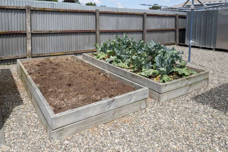 8 Miller Avenue Allenton_20