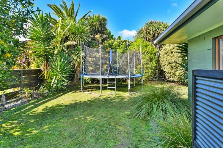 4 Muirfield Street Wattle Downs_8