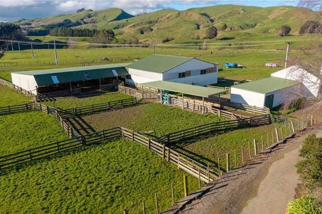 581 Maunga Road Dannevirke_4