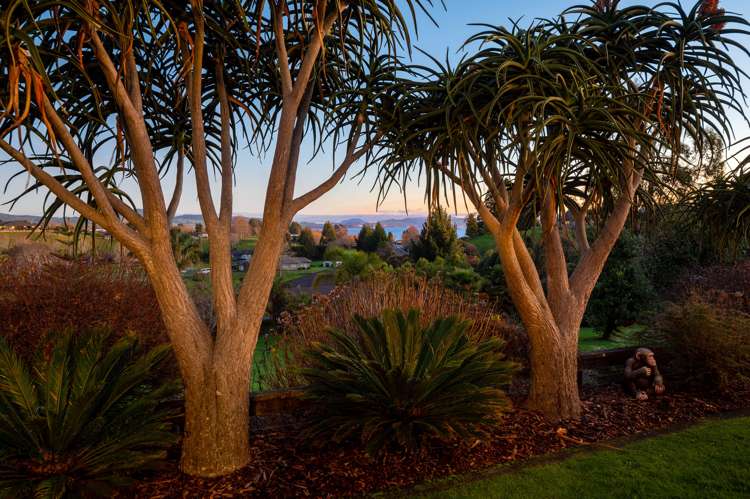 8 Ascot Vale Tikitere_3