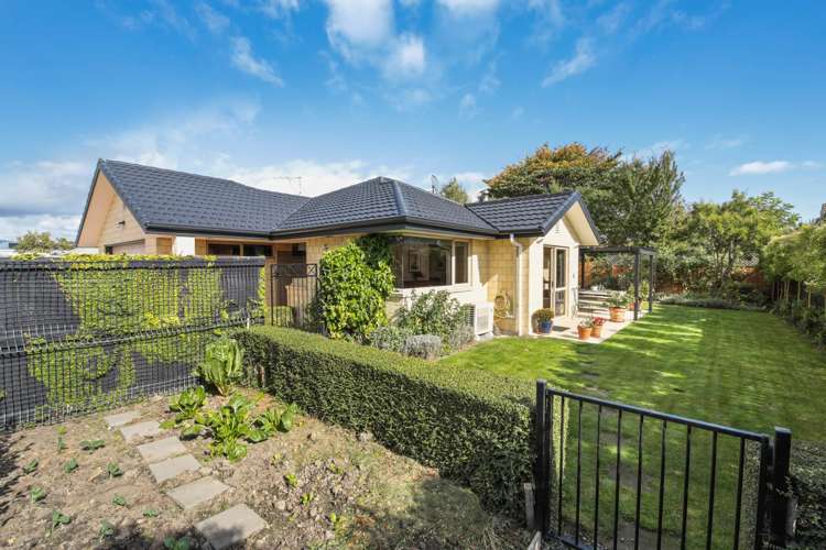4a Bary Street Springlands_22