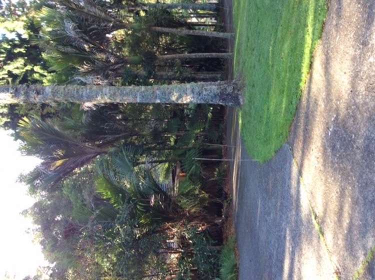 19 Minnehaha Avenue Titirangi_5