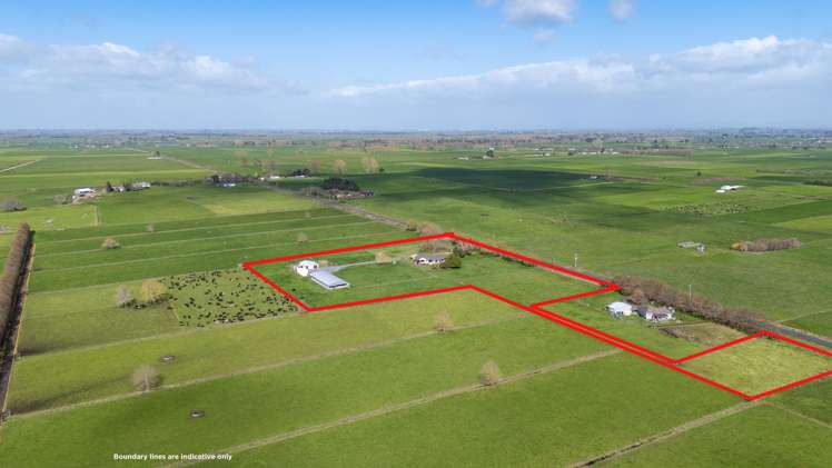 284 Shewan Road Gordonton_21