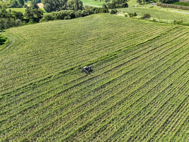 Lots 1 and 2 DP 428308 - Wharerata Road Muriwai_11