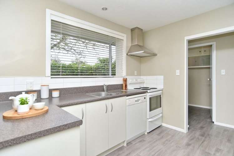 35 Trevor Street Hornby_7