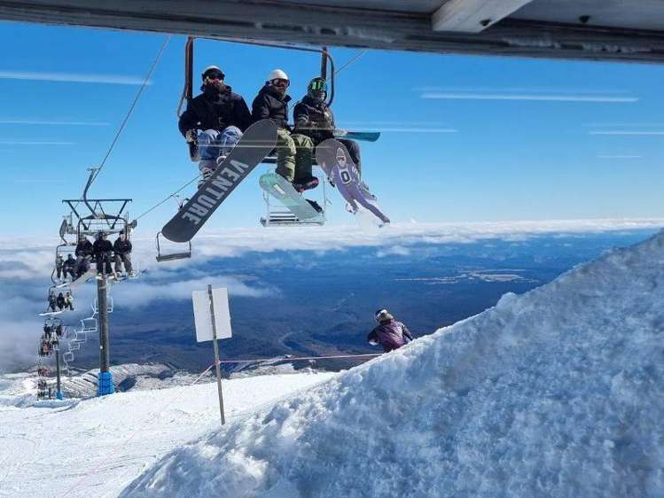 Address withheld Horopito_1