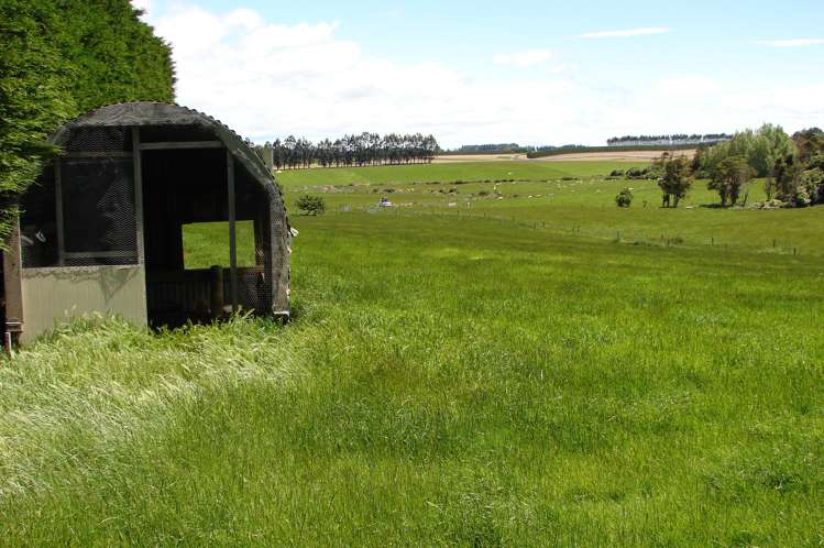 493 Rakahouka Hedgehope Road Winton Surrounds_10