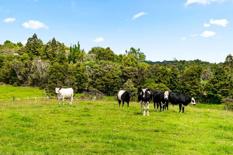 274 Pigs Head Road Whakapara_20