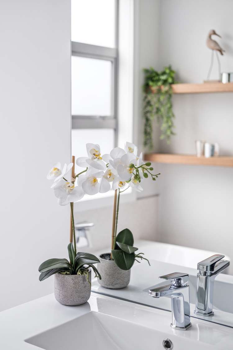 57 Anselmi Ridge Road Pukekohe_15