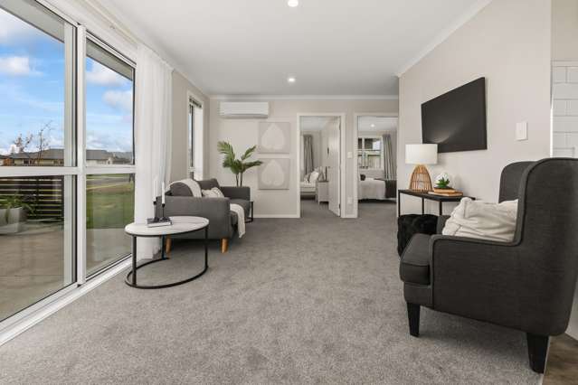 87 Hinemoa Street Levin_2