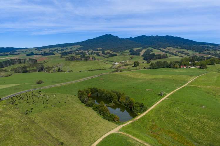 18 Hodgson Road Te Pahu_8