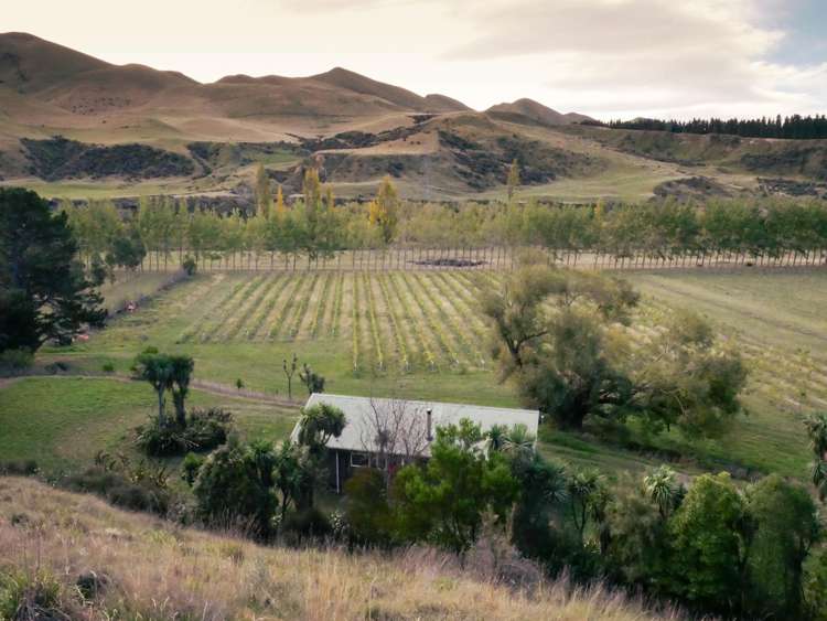 376 Ram Paddock Road Waipara_11