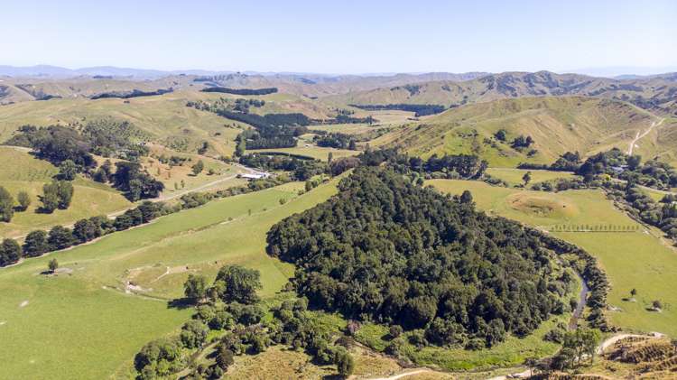 14781 Route 52 Eketahuna_0