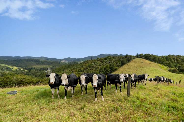 538 Hailes Road Whananaki_25