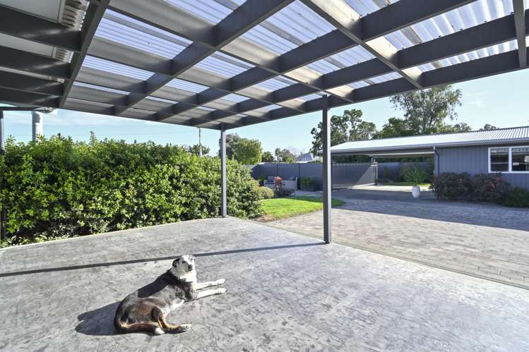 34 McElwee Street Jervoistown_14
