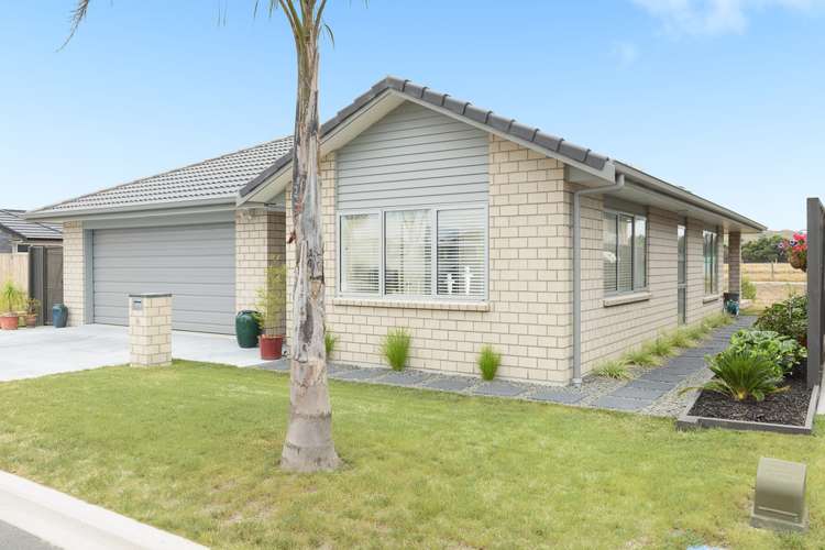 10 Celmisia Retreat Papamoa_10