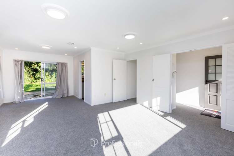 76 Gemstone Drive Birchville_5