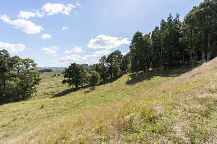 170 Corbett Road Whakapara_26