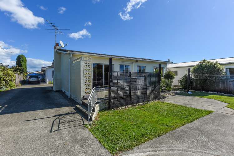 53 Green Street Tahunanui_2