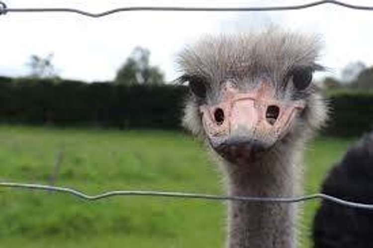 Address withheld Pukekohe_4