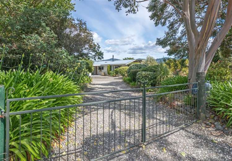 216 Neal Road Spring Creek_1