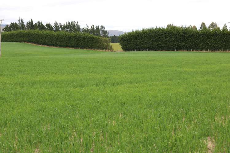 581 Nine Mile Road Riversdale_7